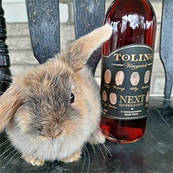 bunny and wine bottle