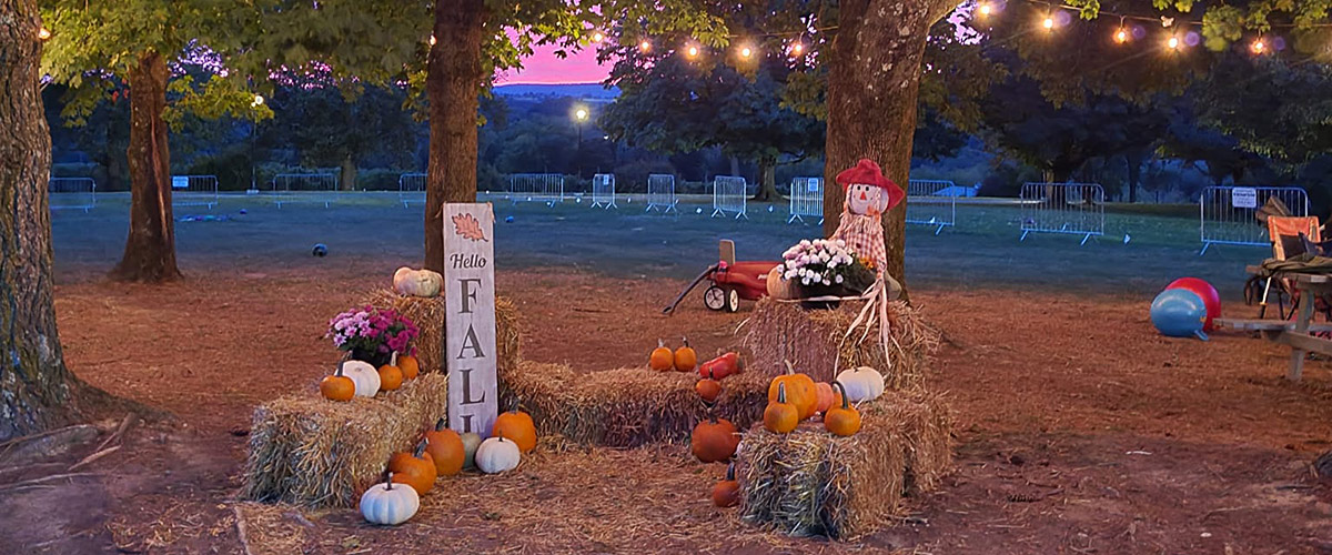 hello fall.jpg