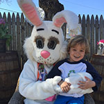 Easter bunny and egg hunt